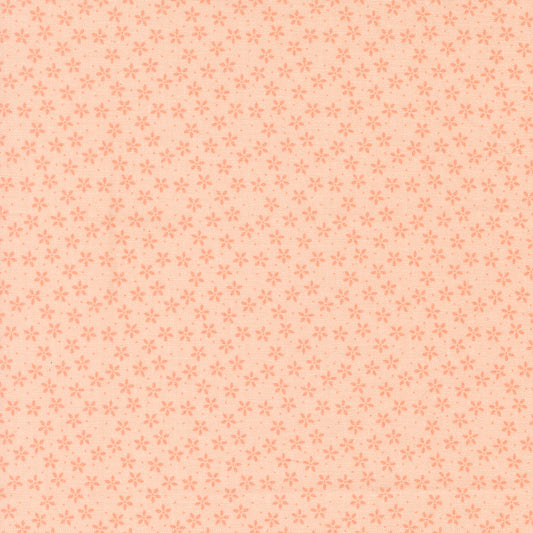 Moda Pastel Prairie Petal- My Sew Quilty Life